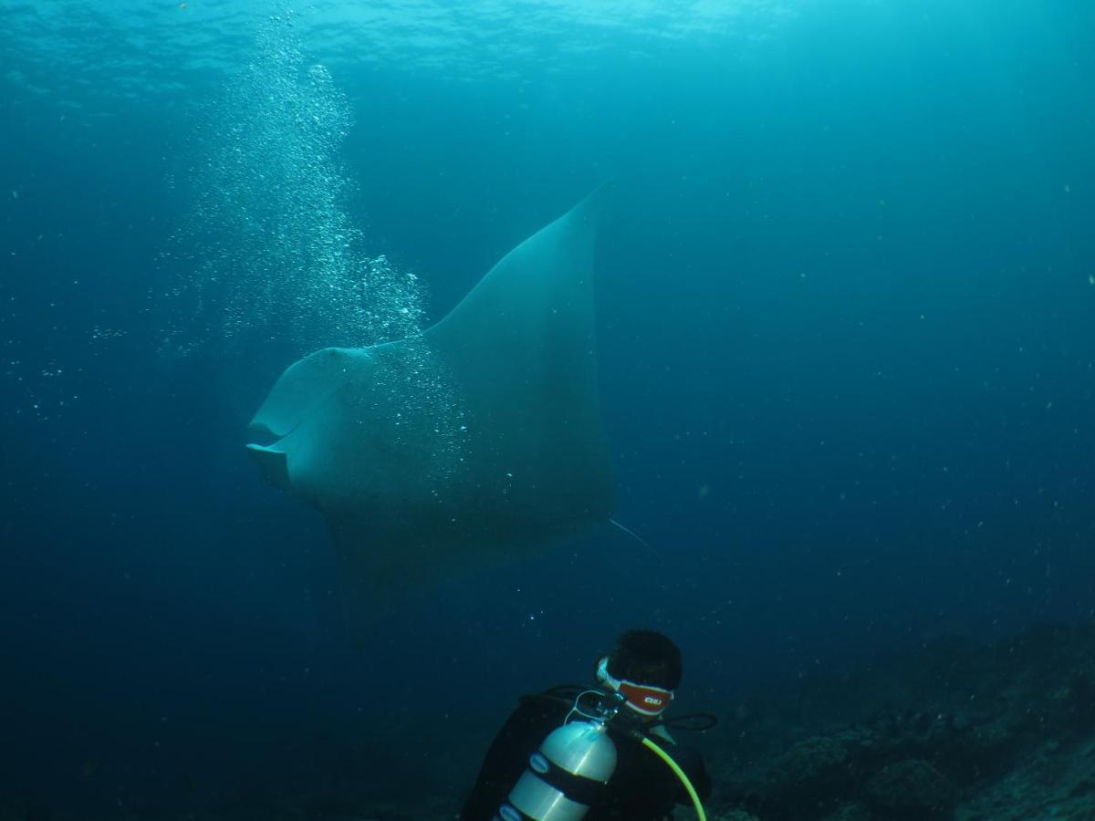 Hamueco Dive Resort Raja Ampat Rabia Екстер'єр фото
