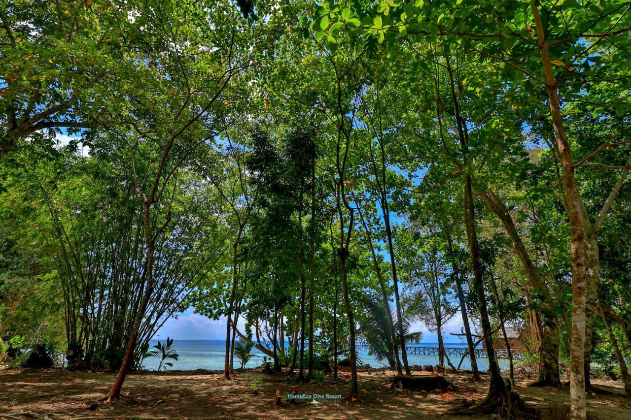 Hamueco Dive Resort Raja Ampat Rabia Екстер'єр фото