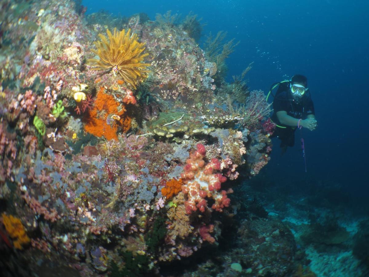 Hamueco Dive Resort Raja Ampat Rabia Екстер'єр фото
